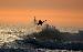 surfheaven photo # 2