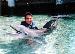 surfphoto69 photo # 1