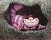 sweetdopey photo # 4