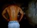 t0327 photo # 1