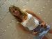 t_n_a photo # 4