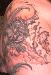 Tat2Crazy photo # 1