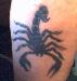 Tat2Crazy photo # 8