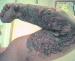 Tat2dSymbiot photo # 6