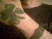 Tatooedd photo # 7
