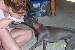 tabbydybas photo # 10
