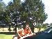 tanyaw2 photo # 2