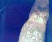 tatt2dfreak photo # 2