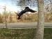 tensorskate photo # 3