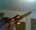 ThaGame18 photo # 8