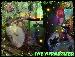 Thehypnotized photo # 3