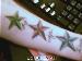 Tiffany69 photo # 3