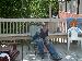 Tinman88 photo # 1