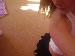 tinkerbell73 photo # 5