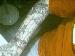 TonyYayo76 photo # 9