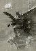 toddbryson10 photo # 7