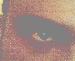 toress81 photo # 1