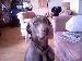 Troy_2004 photo # 4
