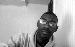 trellbrown23 photo # 2