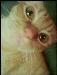 Tuggerz photo # 7
