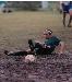 TVic584 photo # 3