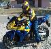 twolf_148 photo # 4