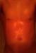 tyle02 photo # 2