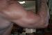 UMR_Popeye photo # 3