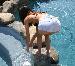val2010 photo #14