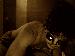 vision69 photo # 3