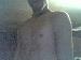 vriesie photo # 2