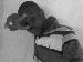 wasiu1 photo # 10