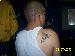 waspstud photo # 3