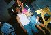 wayne_bird photo # 1