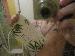 wooly420 photo # 1