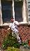 workingman888 photo # 8