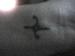 wtf09 photo # 8