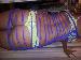 wyldkatsgirl photo # 10