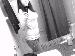 x_babydoll_x photo # 6