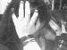 x_emotears photo # 1