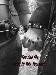 xrabid_icex photo # 11