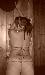 XsexyXmamaX photo # 3