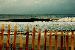 Xsurfpunk photo # 3