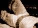 xXQTChickXx photo # 2