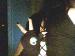 xxShelby photo # 11