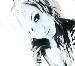 xxlaydeelxx photo # 1