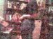 yes75 photo # 6