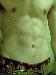 Zacky1990 photo # 8