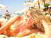 13principessa from -