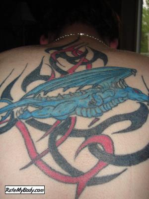 14Dragon14